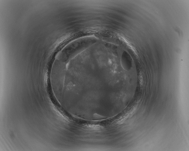 X0000112010637200908031307