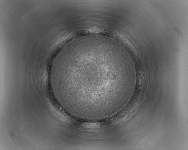 X0000112010639200908031307