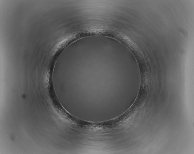 X0000112010640200908031308