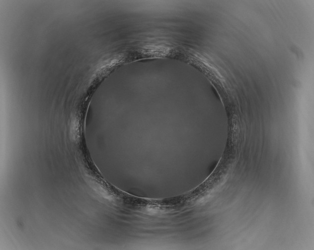 X0000112010641200908031308