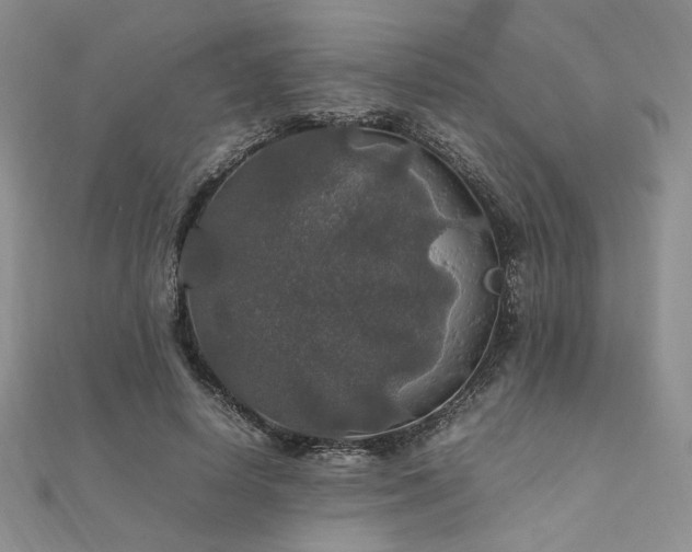 X0000112010642200908031308