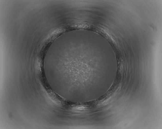 X0000112010643200908031308