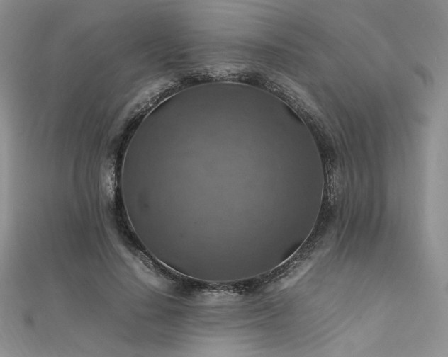 X0000112010644200908031308