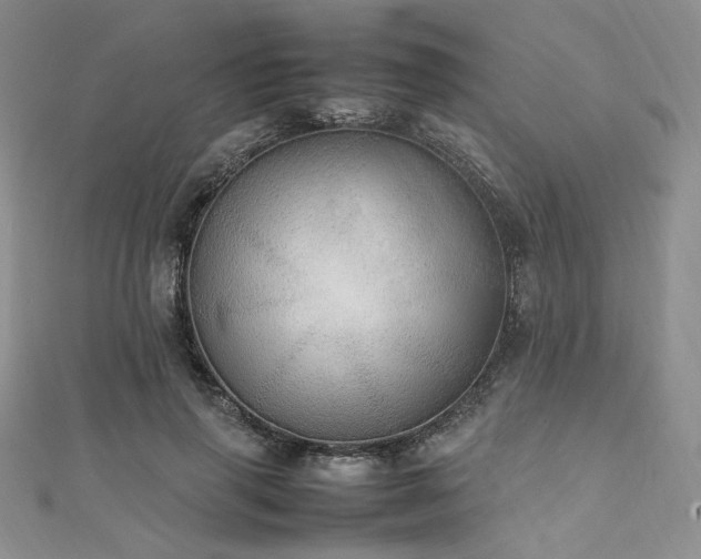 X0000112010645200908031308