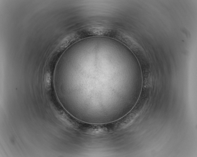 X0000112010646200908031308