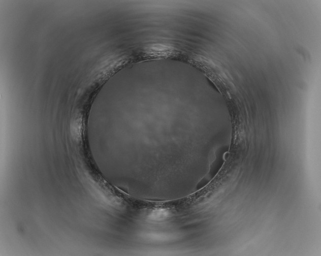 X0000112010647200908031308