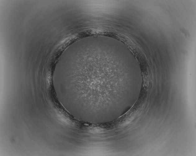 X0000112010648200908031308