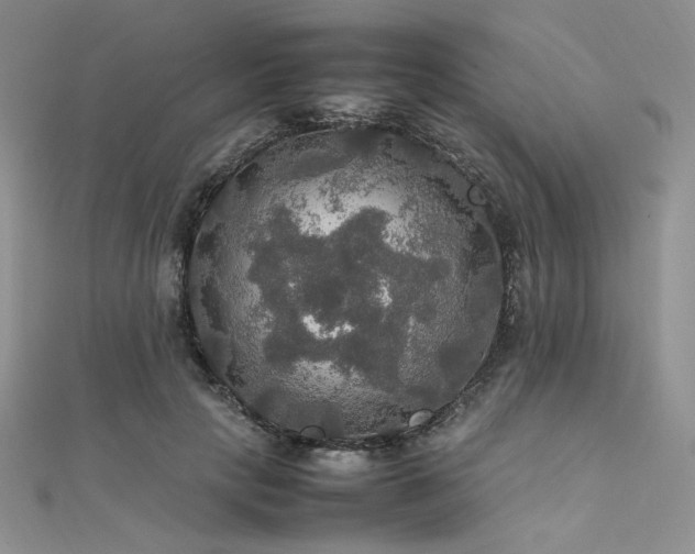 X0000112010649200908031308