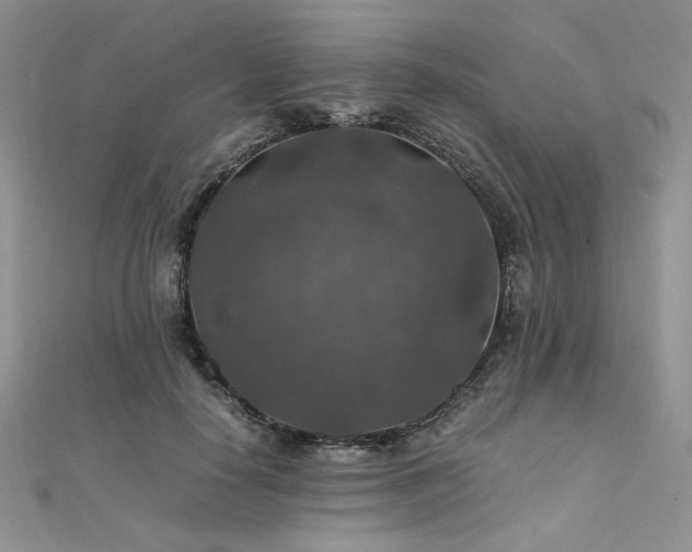 X0000112010650200908031308