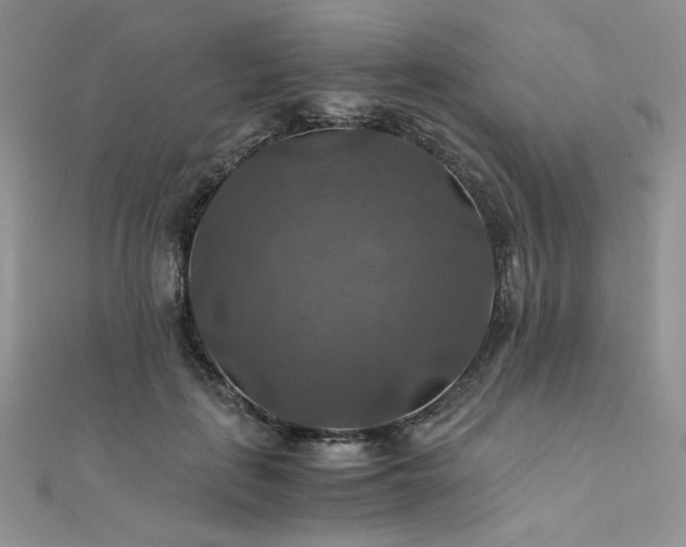 X0000112010651200908031308