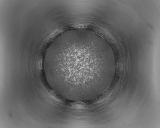 X0000112010652200908031308