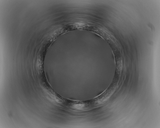 X0000112010653200908031308