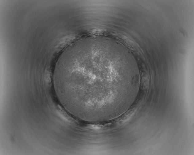 X0000112010654200908031308