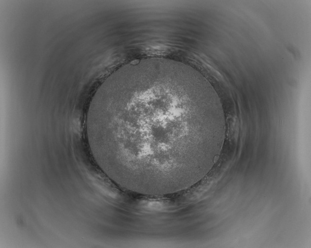 X0000112010655200908031308