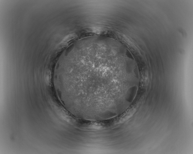 X0000112010656200908031308