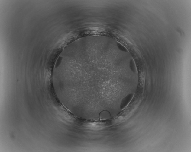 X0000112010657200908031308