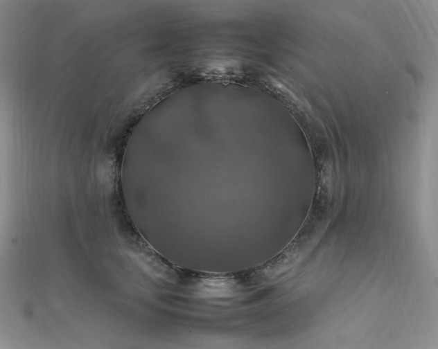 X0000112010659200908031308