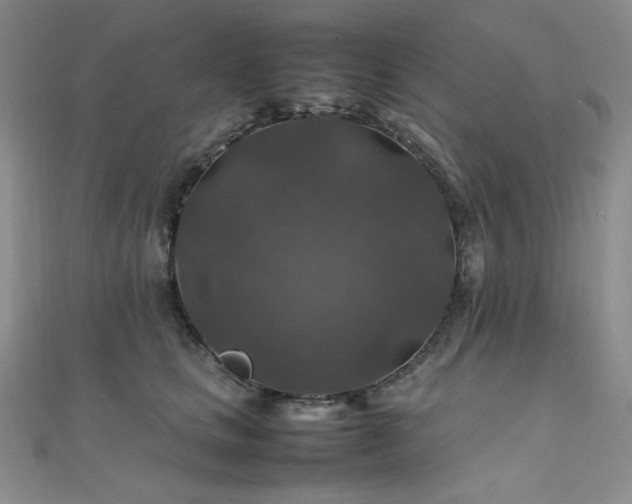 X0000112010661200908031308