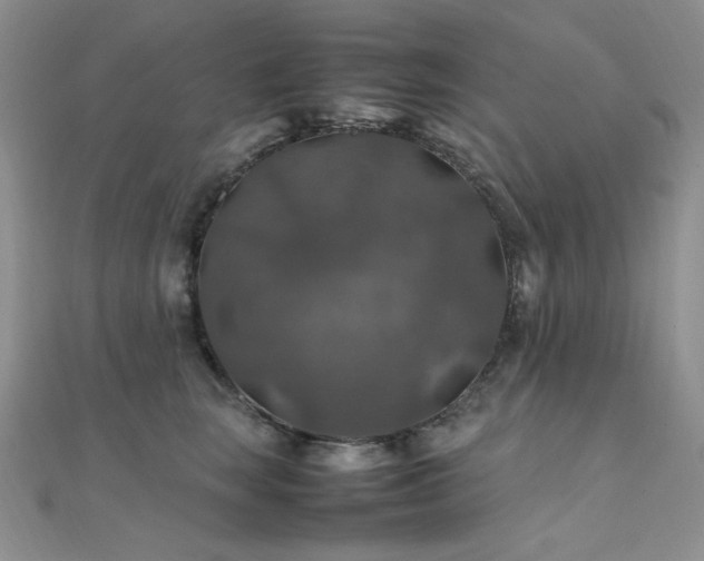 X0000112010663200908031308