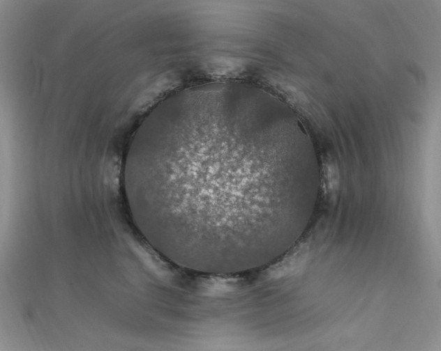 X0000112010664200908031308