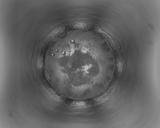 X0000112010665200908031308