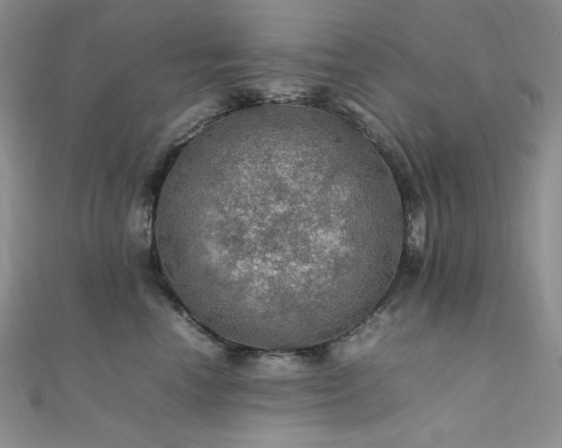 X0000112010666200908031308