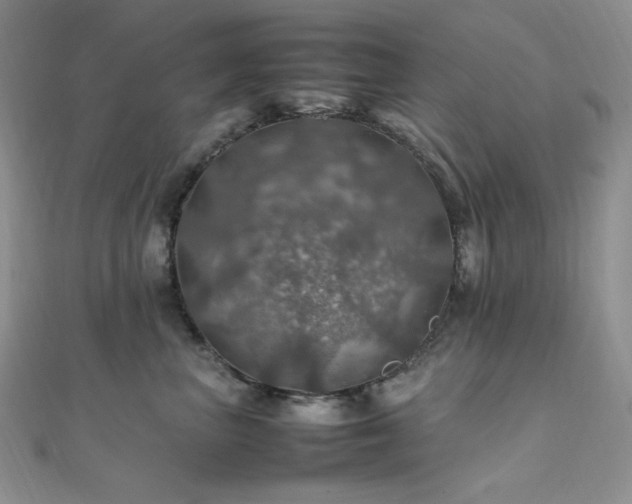 X0000112010667200908031308