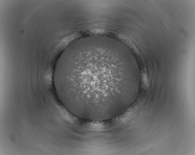 X0000112010668200908031308