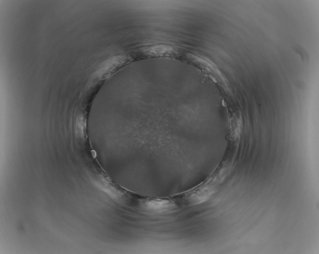 X0000112010669200908031308