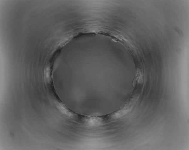 X0000112010670200908031308