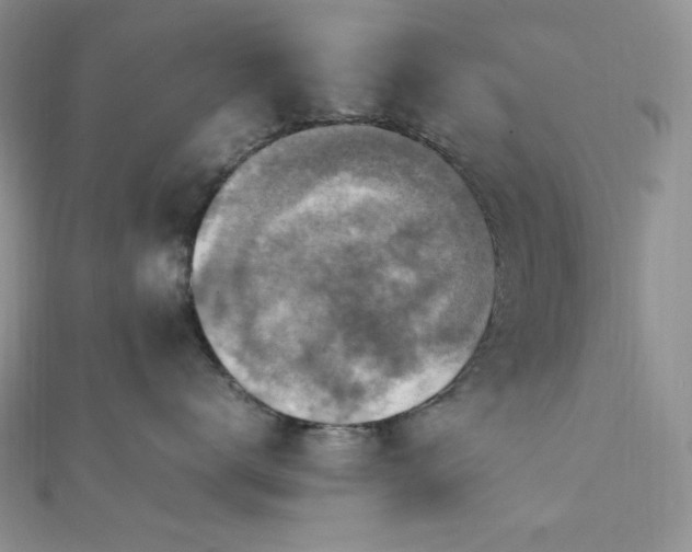 X0000112010672200908031308