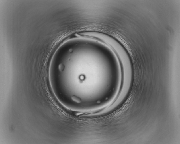 X0000112010673200908031307