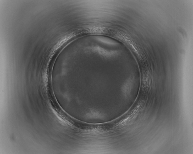 X0000112010674200908031307