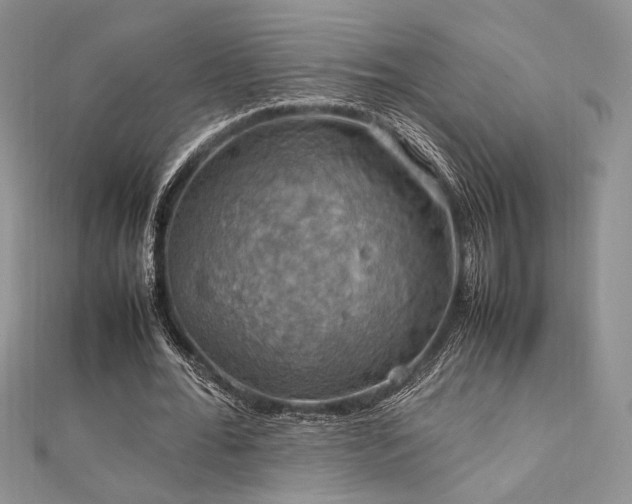 X0000112010676200908031307