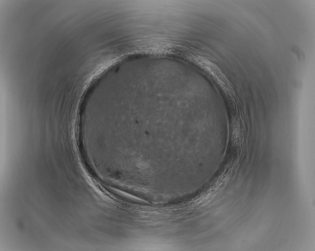 X0000112010677200908031307