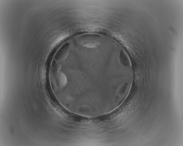 X0000112010679200908031307