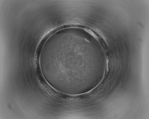 X0000112010680200908031307