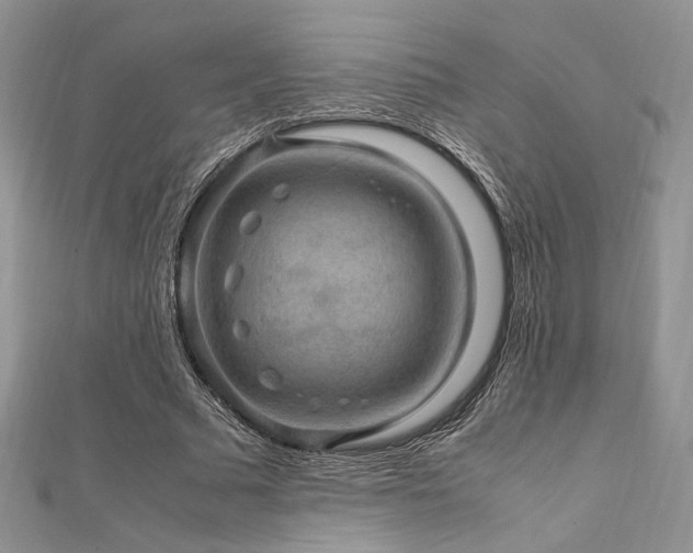 X0000112010681200908031307