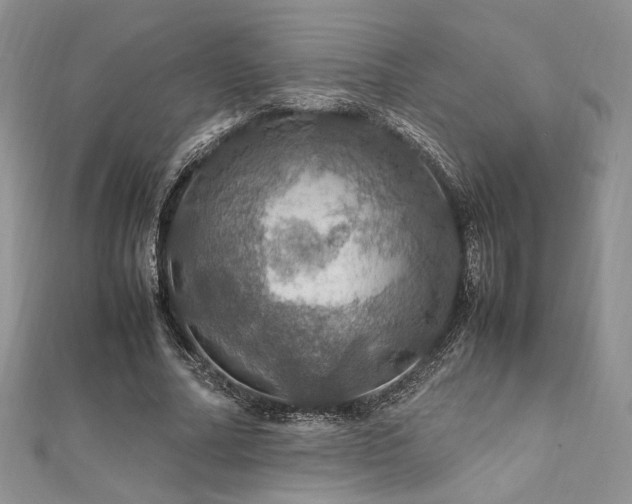 X0000112010682200908031307