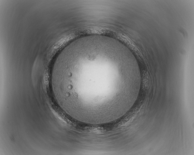X0000112010683200908031307