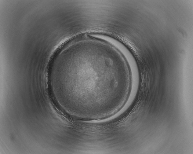 X0000112010684200908031307