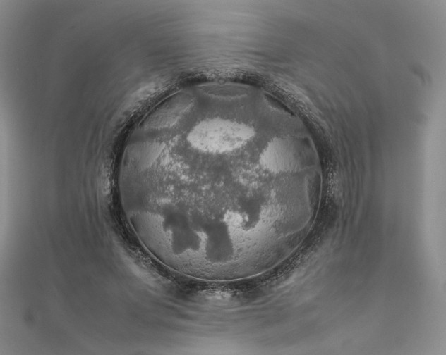 X0000112010687200908031307
