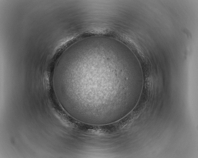 X0000112010688200908031307