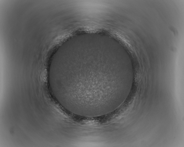 X0000112010689200908031307