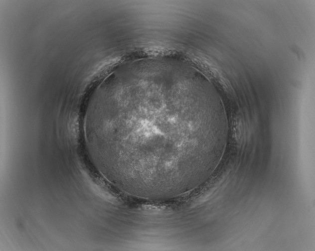 X0000112010690200908031307