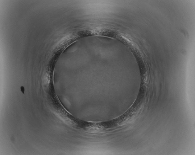 X0000112010691200908031307