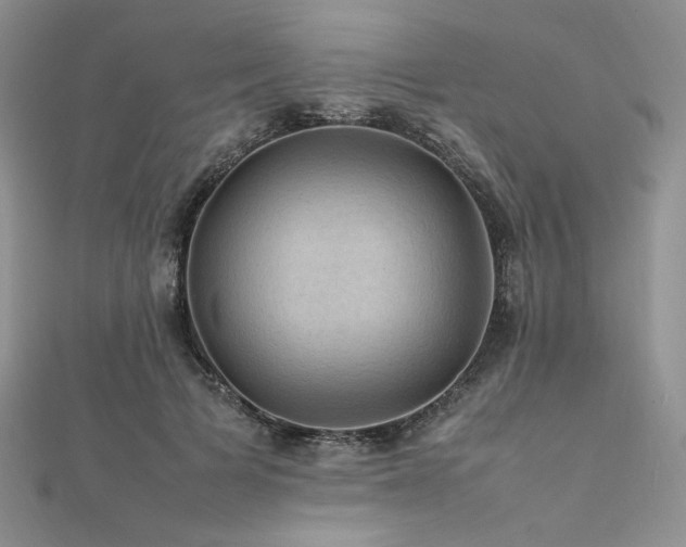X0000112010697200908031307