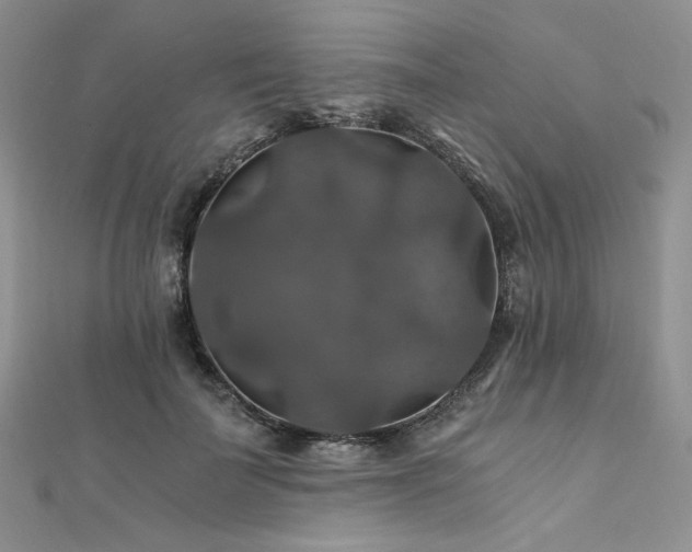 X0000112010699200908031307