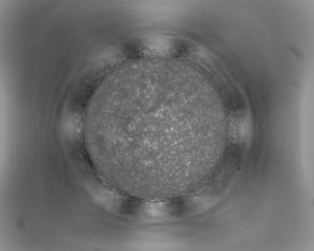 X0000112010701200908031307