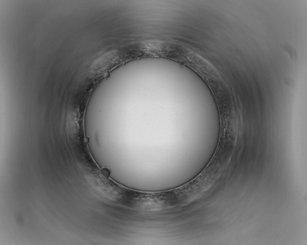 X0000112010702200908031307